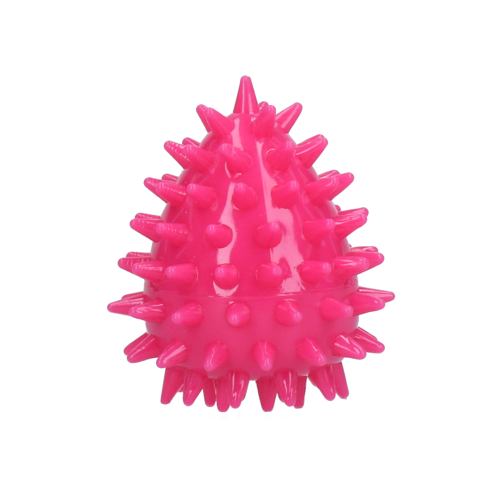 Dog Comets Cosmic Egg Roze S