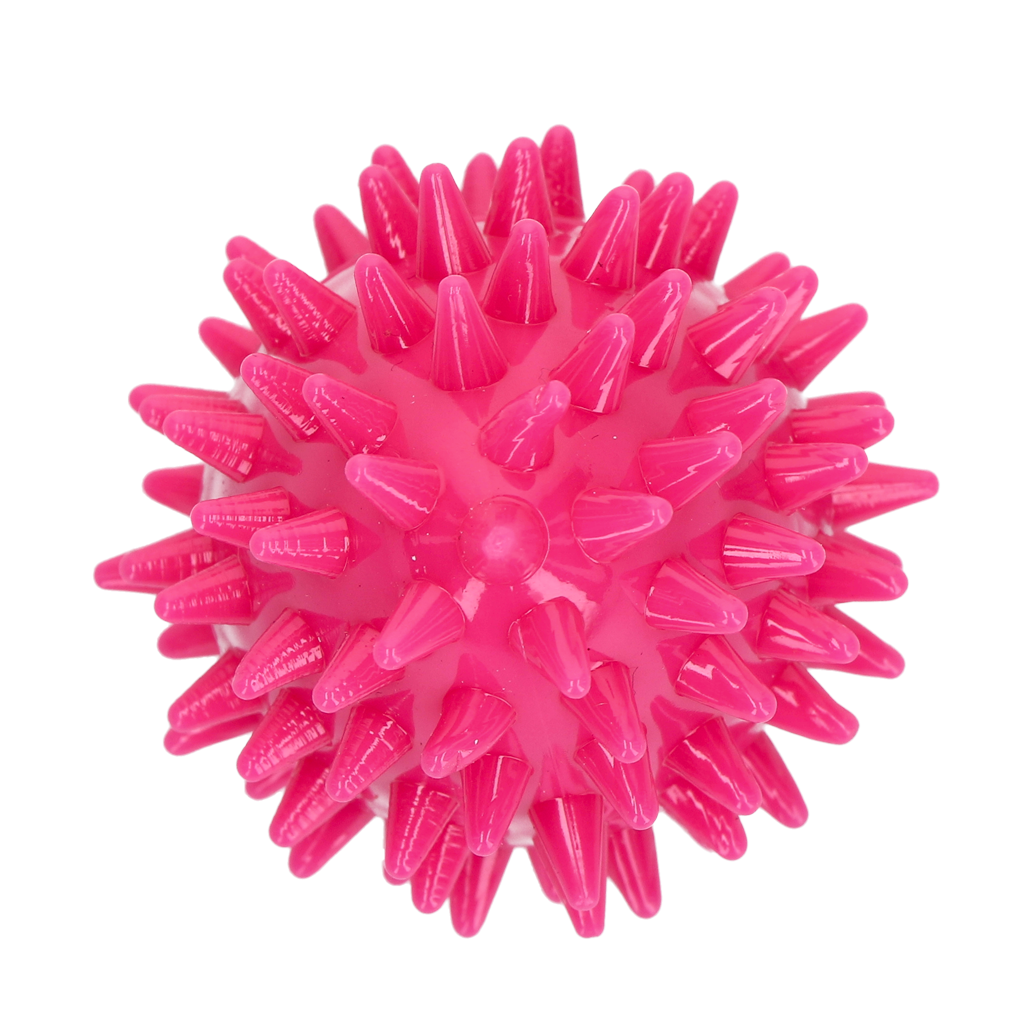 Dog Comets Cosmic Egg Roze S