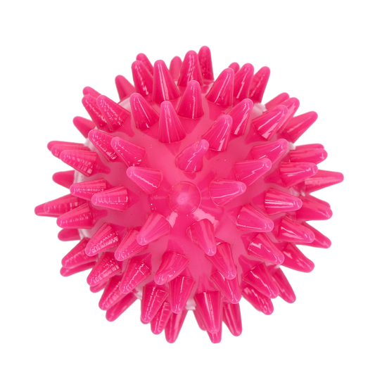Dog Comets Cosmic Egg Roze S