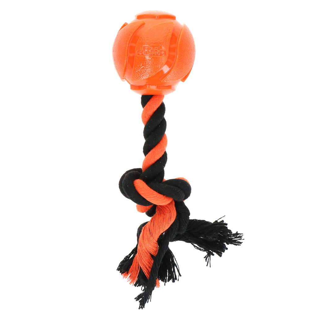 Dog Comets AstroTug Oranje