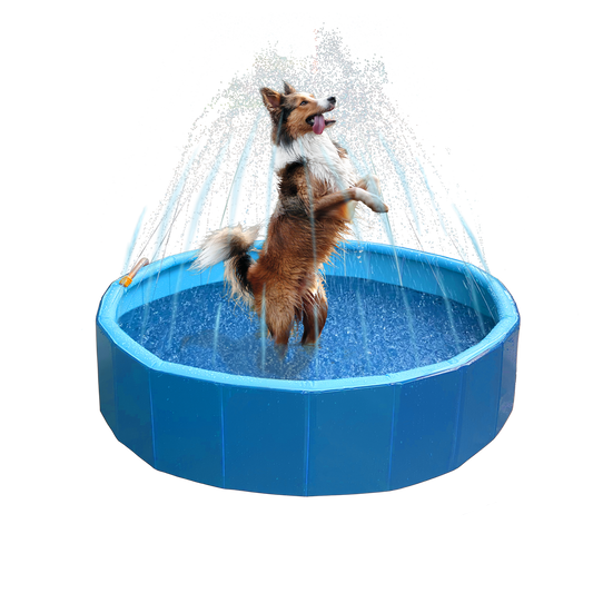 Coolpets Splash Sprinkler Pool