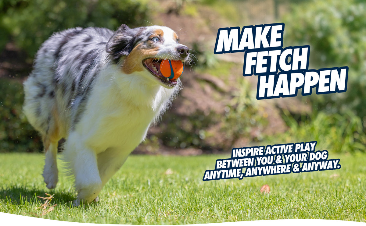 Chuckit! Ultra Squeaker Ball S (2-pack)