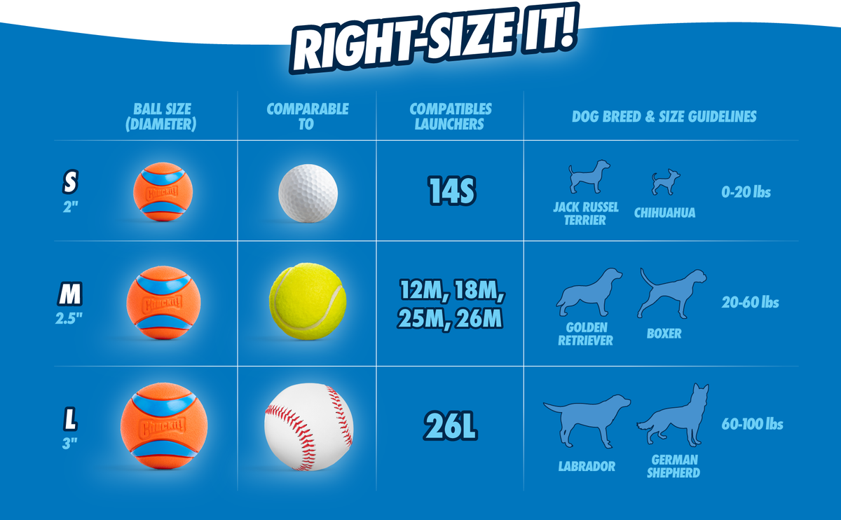 Chuckit! Ultra Squeaker Ball M (2-pack)