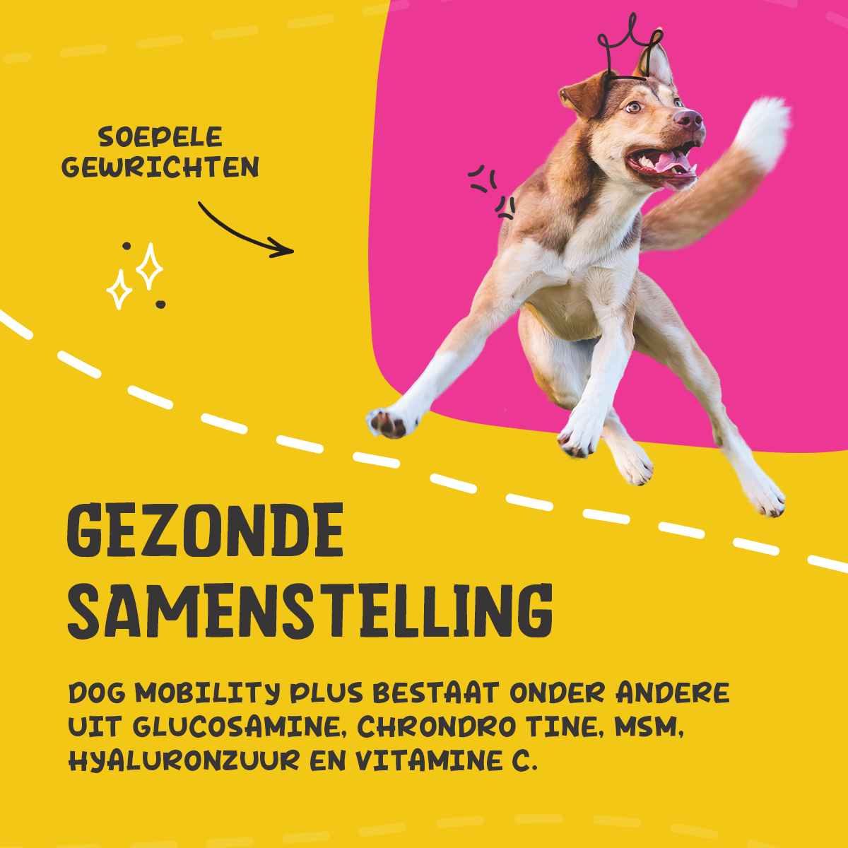 Excellent Pets Dog Mobility+ 750 g