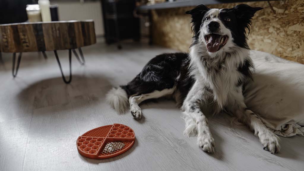 Eat Slow Live Longer Lick Mat Dimensions Circle Rood