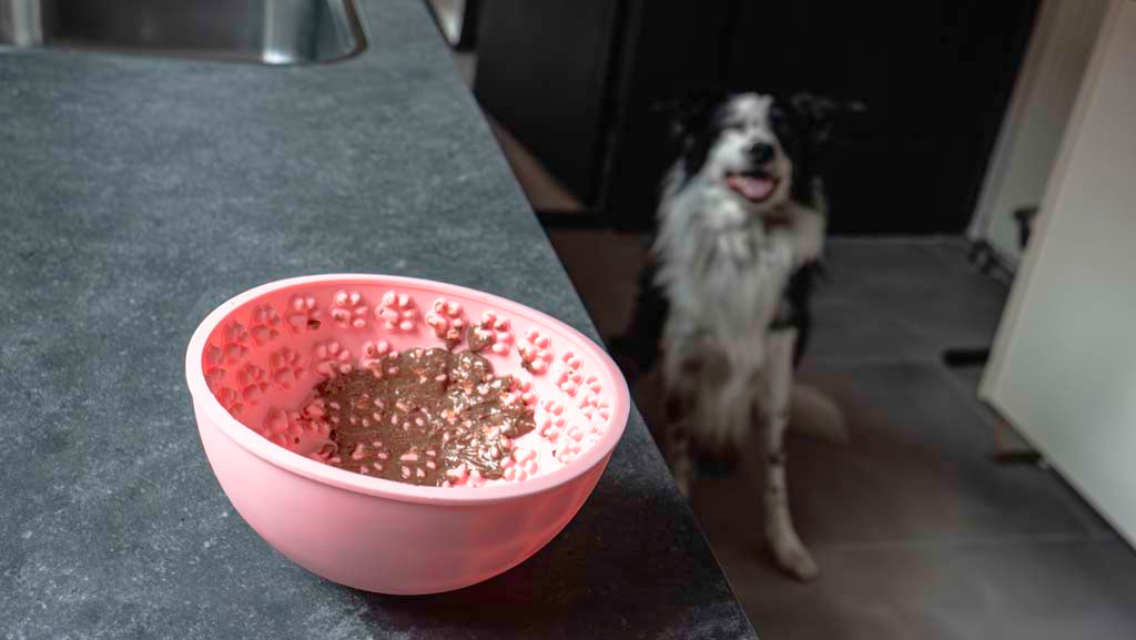 Eat Slow Live Longer Lick Mat Wobble Bowl Roze