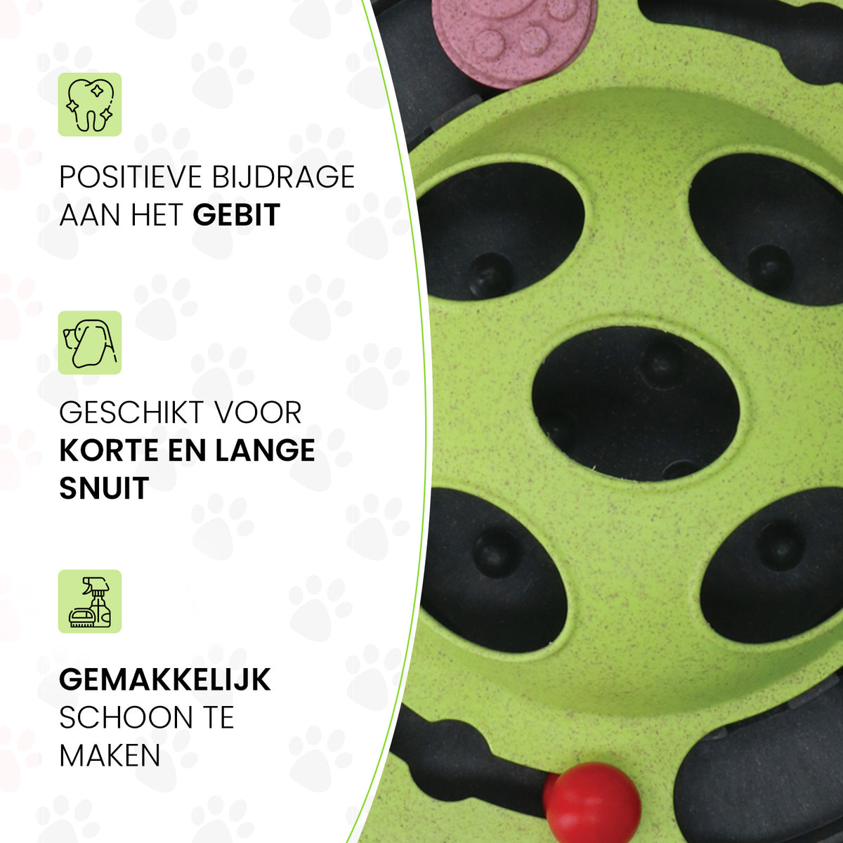 Eat Slow Live Longer Puzzle Beetle