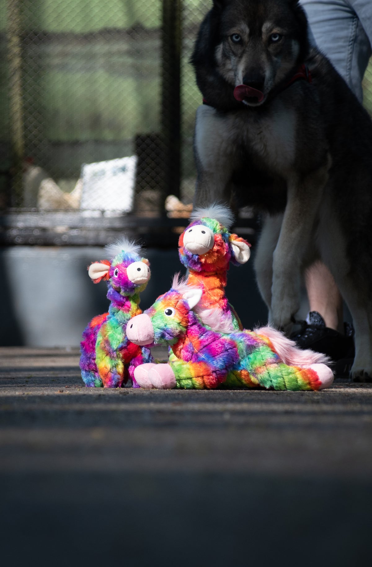 FantaZoo Alpaca - M