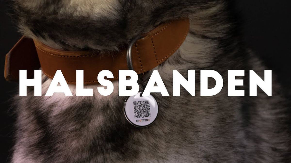 Spotted! Pro Leren Halsband 50 cm - Bruin