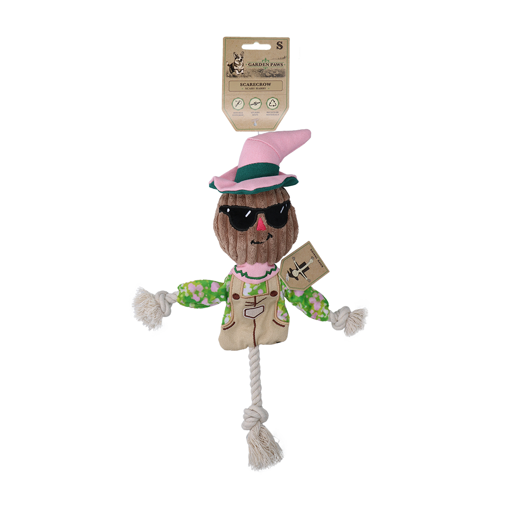Garden Paws Scarecrow Scary Harry S