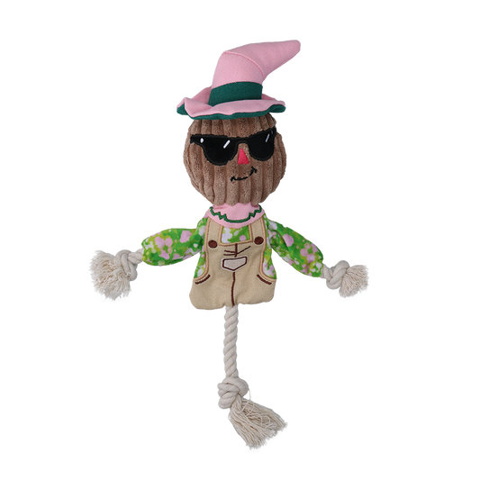 Garden Paws Scarecrow Scary Harry S