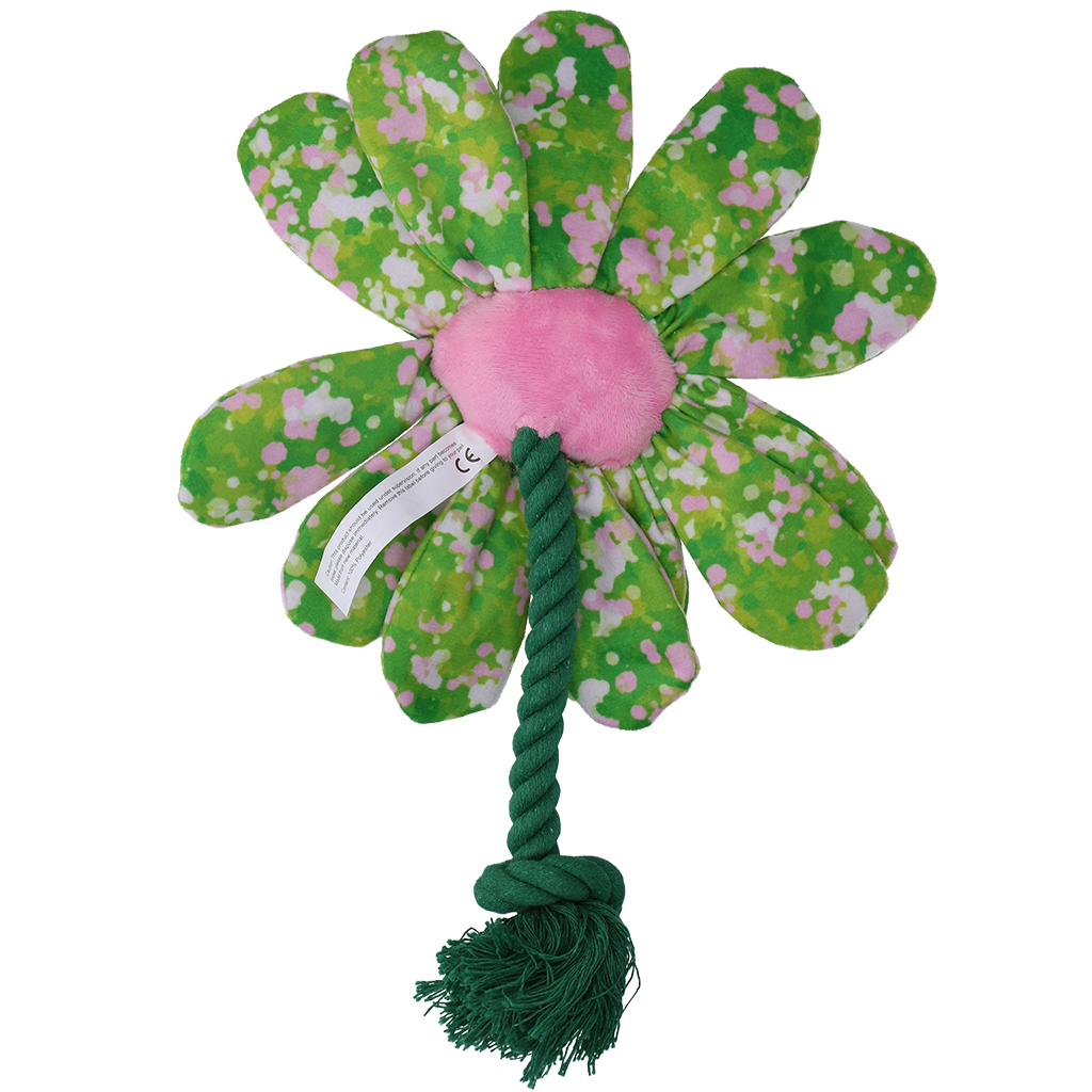 Garden Paws Flower Summer Shrubs M