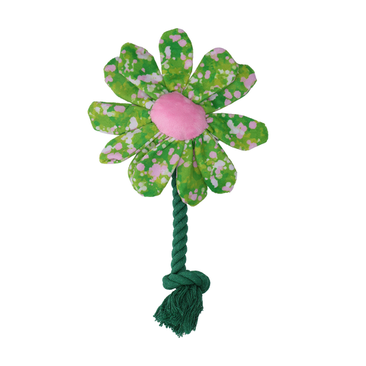 Garden Paws Flower Summer Shrubs S