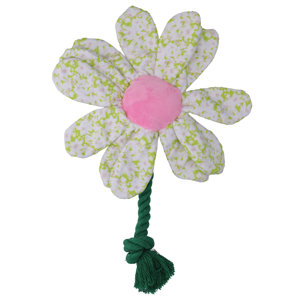 Garden Paws Flower Spring Sakura M