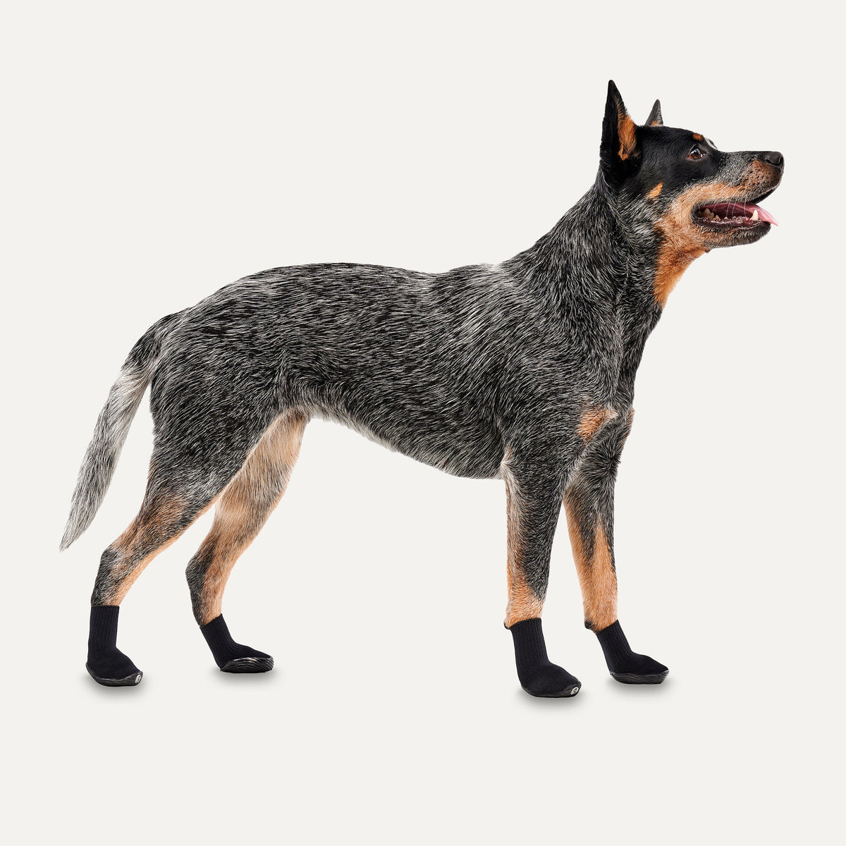 Goo-eez Dog Boots Ultras 2 Per Pack XS Zwart