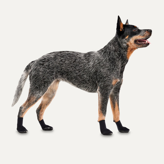 Goo-eez Dog Boots Ultras 2 Per Pack XS Zwart