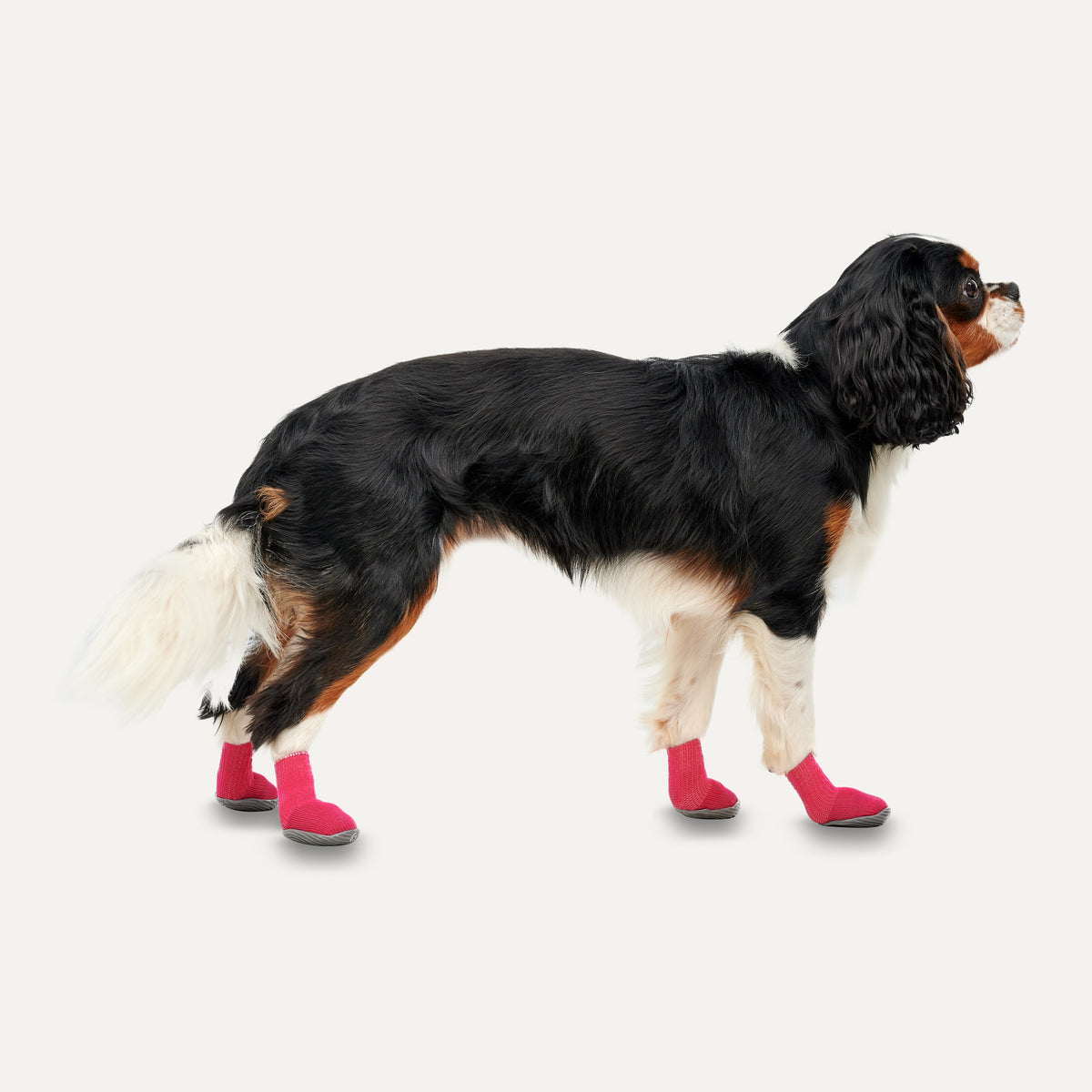 Goo-eez Dog Boots Ultras 2 Per Pack XS Rood/Zwart