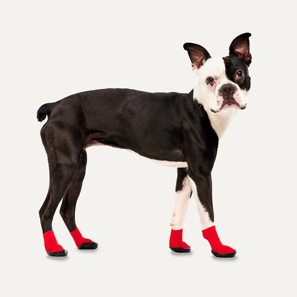 Goo-eez Dog Boots Lites 4 Per Pack S Rood/Zwart