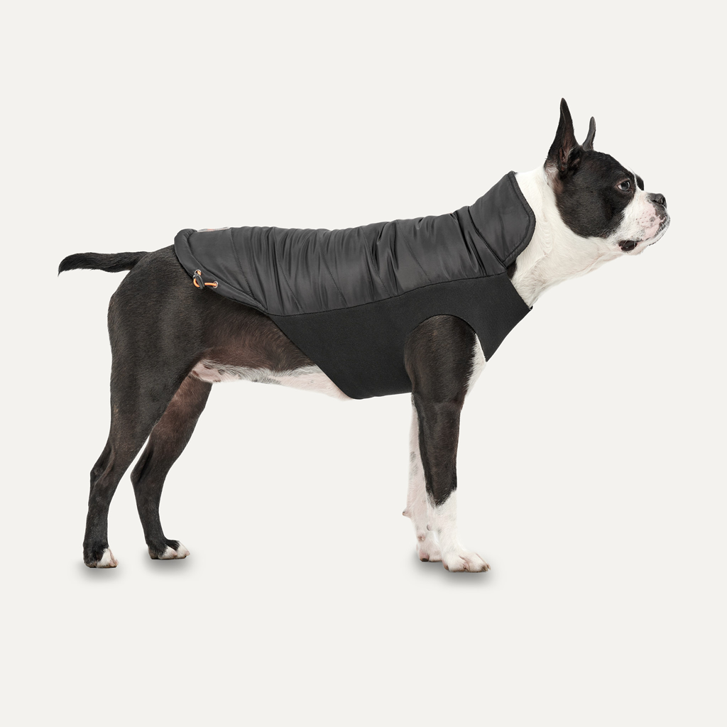 Goo-eez Mock Neck Signature Wrap Jacket XXS Zwart