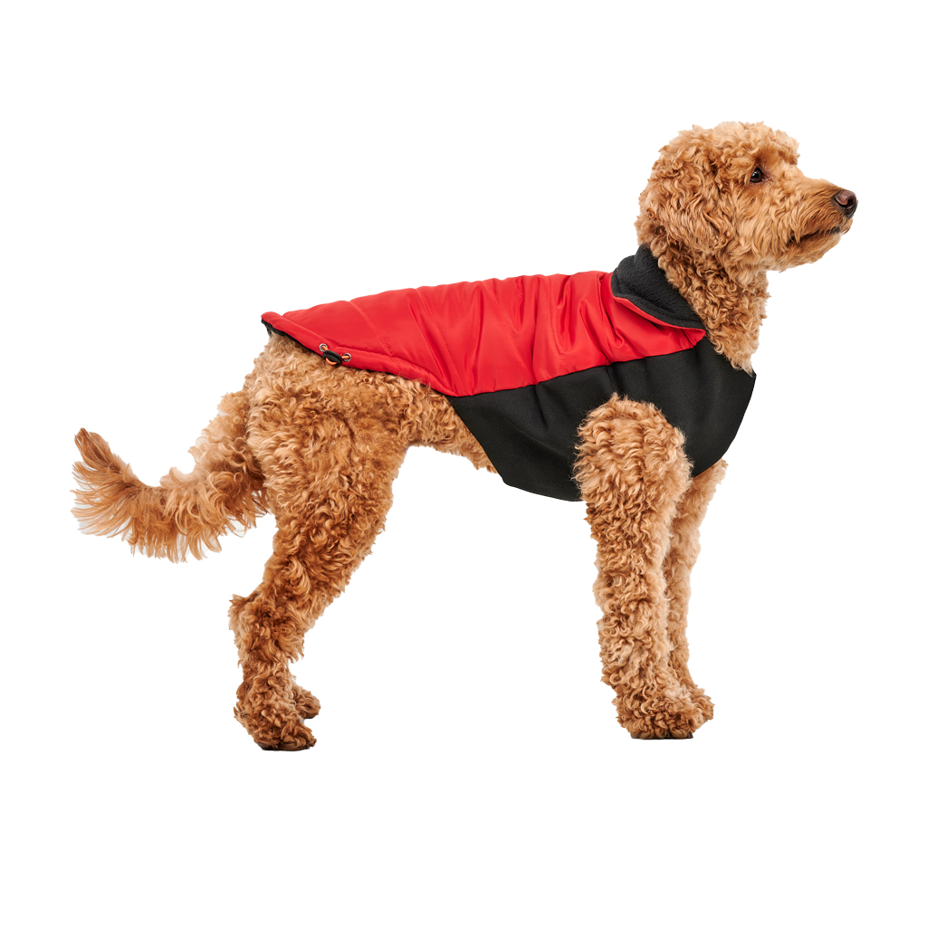 Goo-eez Mock Neck Signature Wrap Jacket S Rood/Zwart
