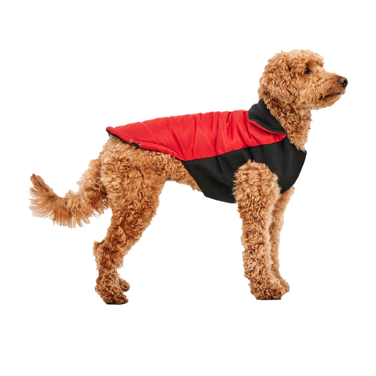 Goo-eez Mock Neck Signature Wrap Jacket XXL Rood/Zwart