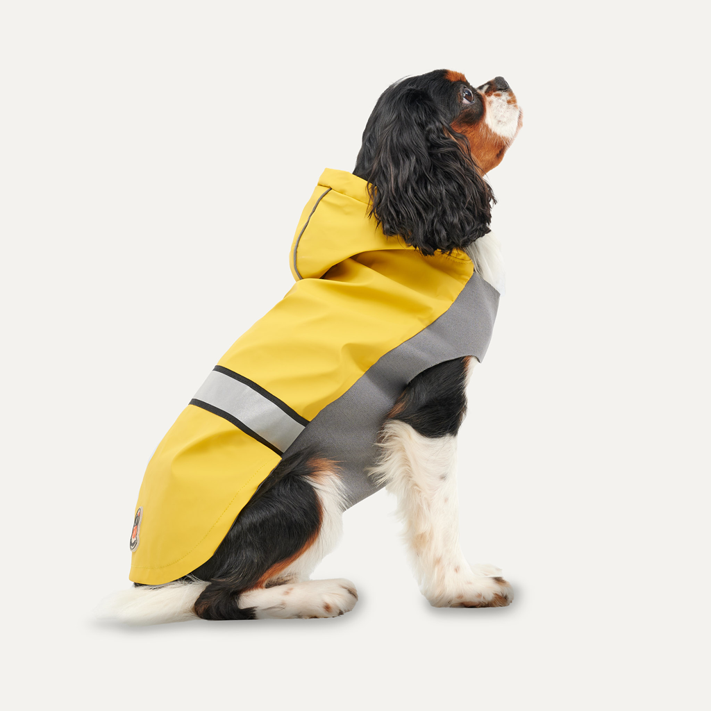Goo-eez Reflective Hooded Raincoat XXL Geel/Grijs