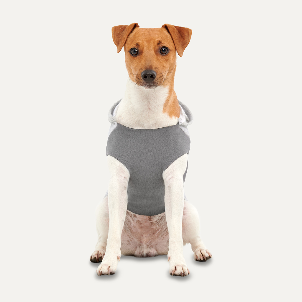 Goo-eez Kangaroo Fleece Hoodie S Grijs