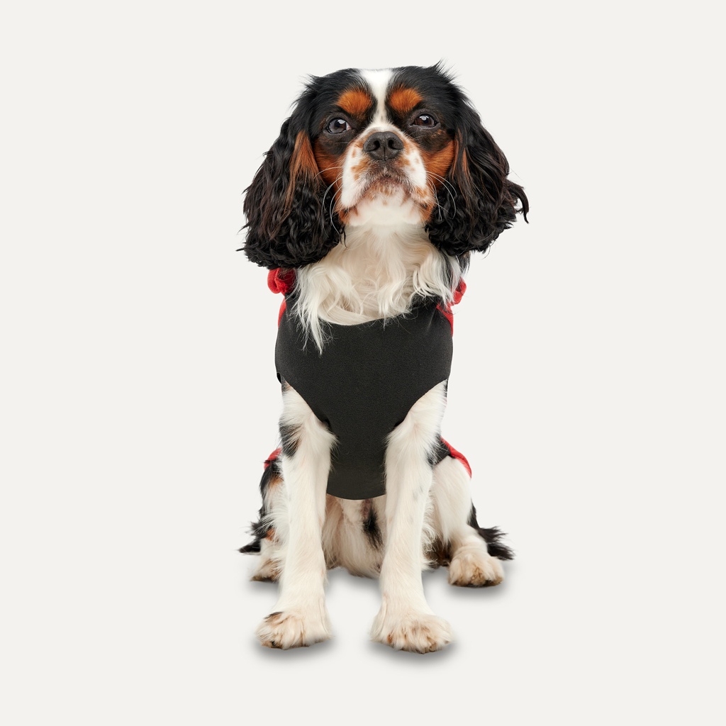 Goo-eez Kangaroo Fleece Hoodie L Rood/Zwart
