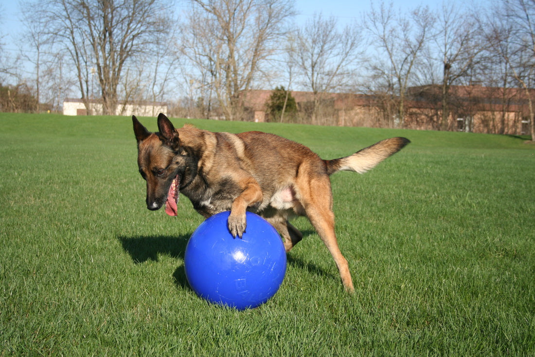 Jolly Push-n-Play Rood L (25 cm)