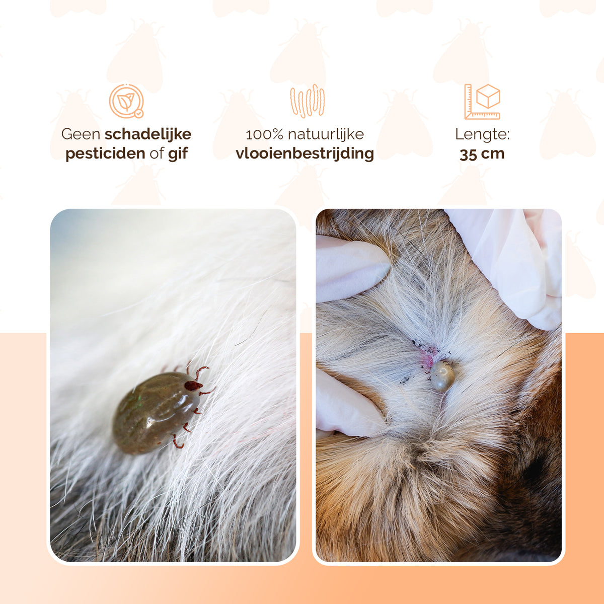 Knock Pest Vlooien/Tekenband Kat 33 cm DE/UK