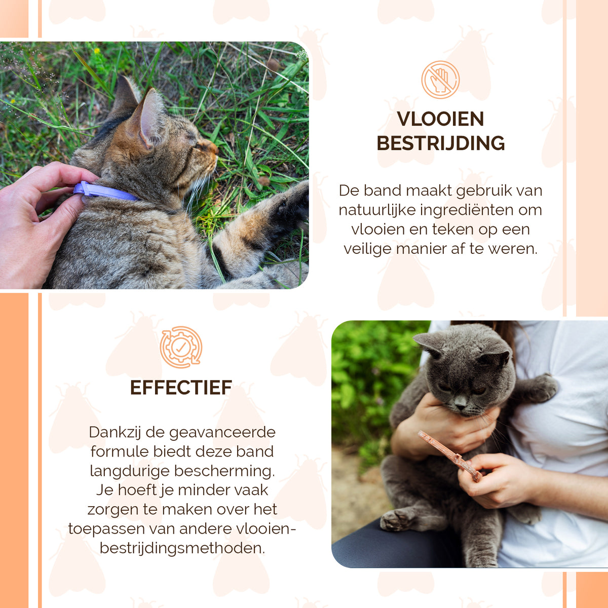 Knock Pest Vlooien/Tekenband Kat 33 cm DE/UK