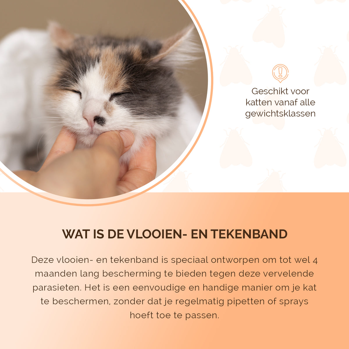 Knock Pest Vlooien/Tekenband Kat 33 cm DE/UK