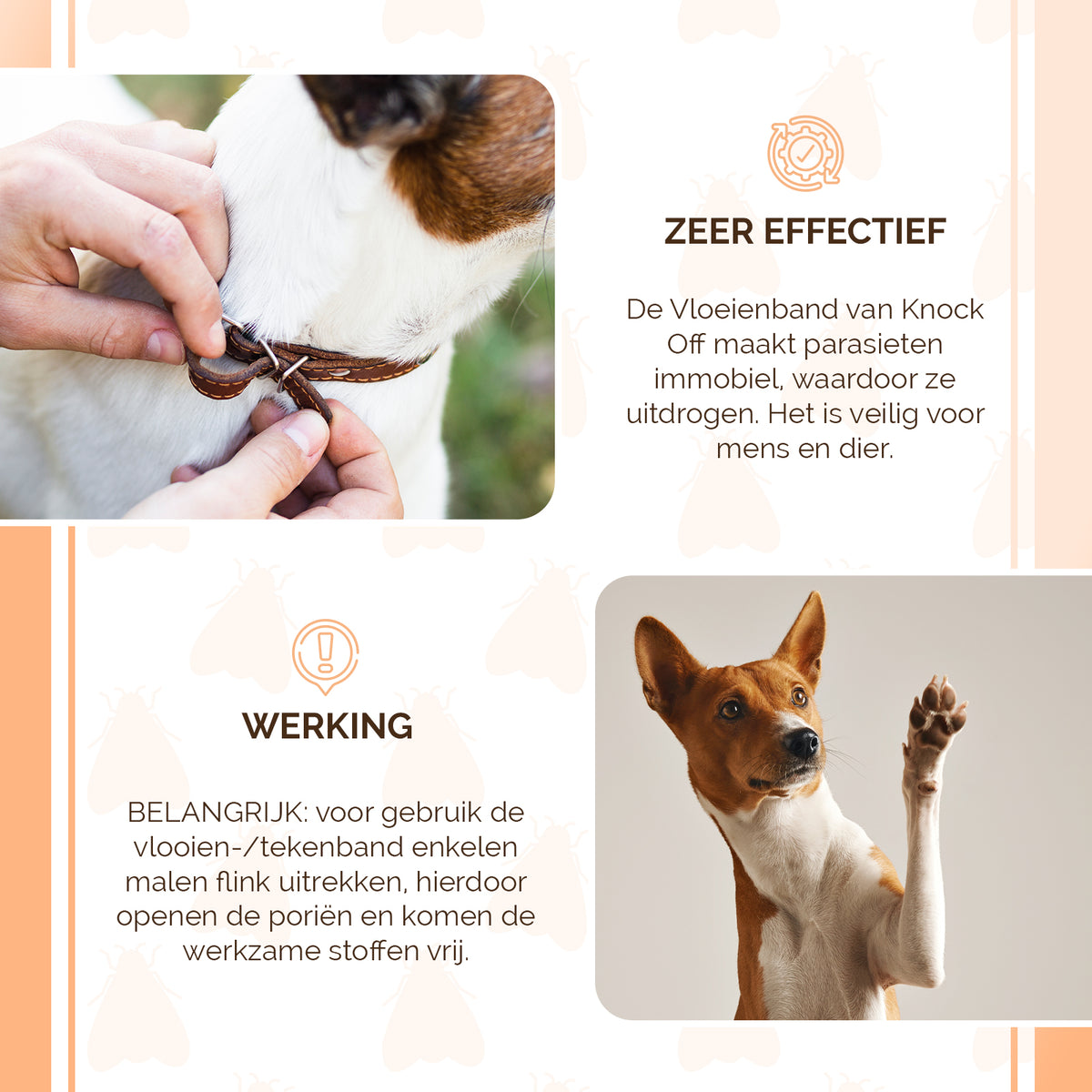 Knock Pest Vlooien/Tekenband Hond 33 cm NL/FR