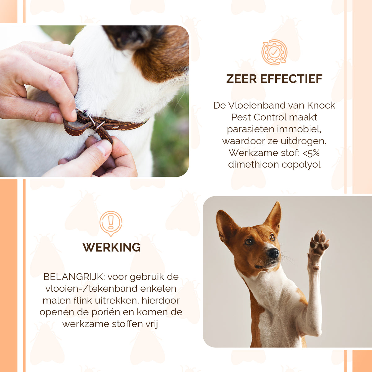 Knock Pest Vlooien/Tekenband Hond 33 cm DE/UK
