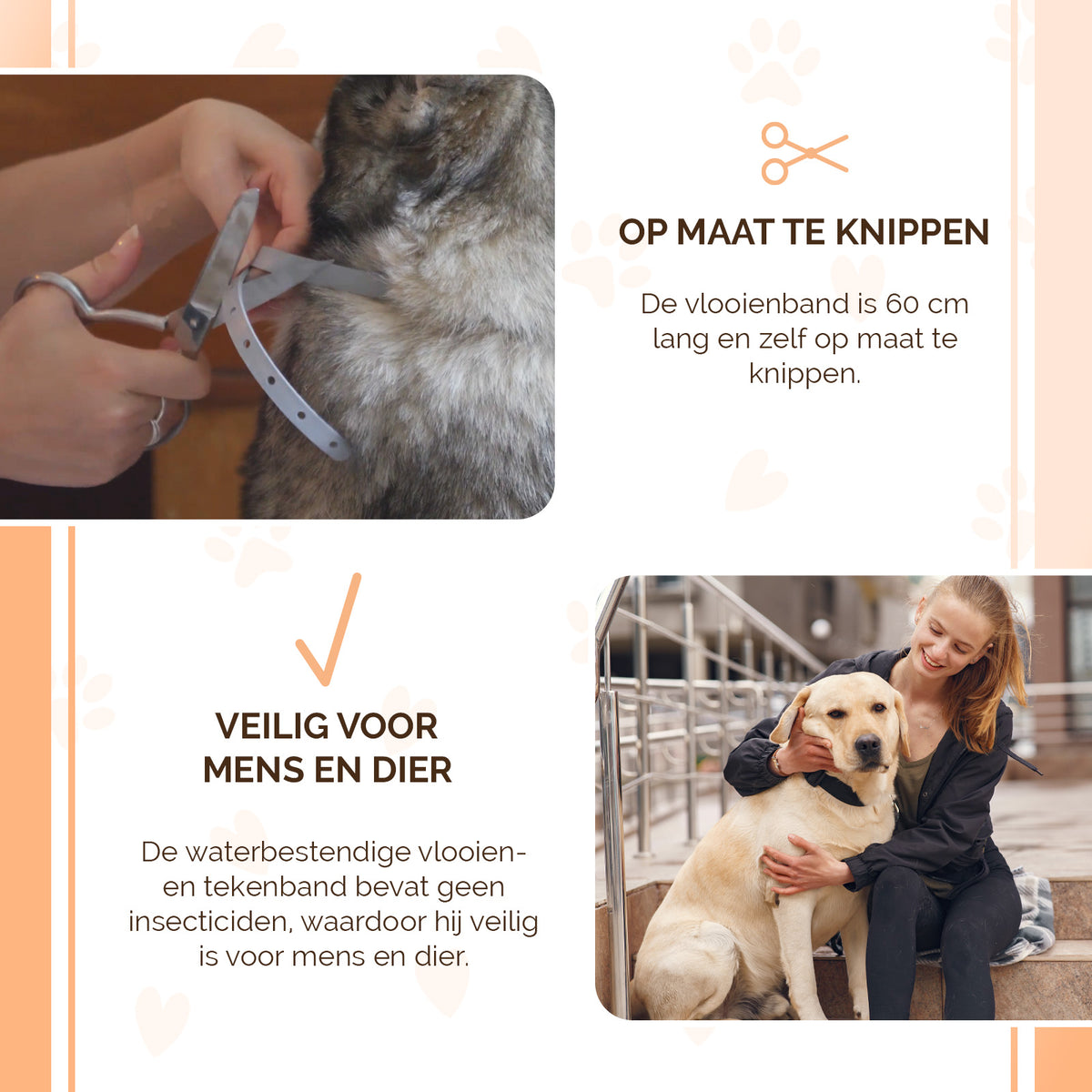 Knock Pest Vlooien/Tekenband Hond 59 cm NL/FR