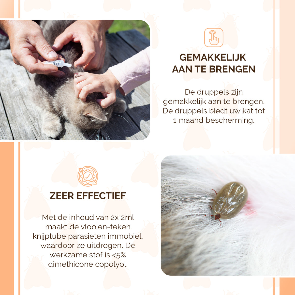 Knock Pest vlooien-tekenpipet Kat DE/UK