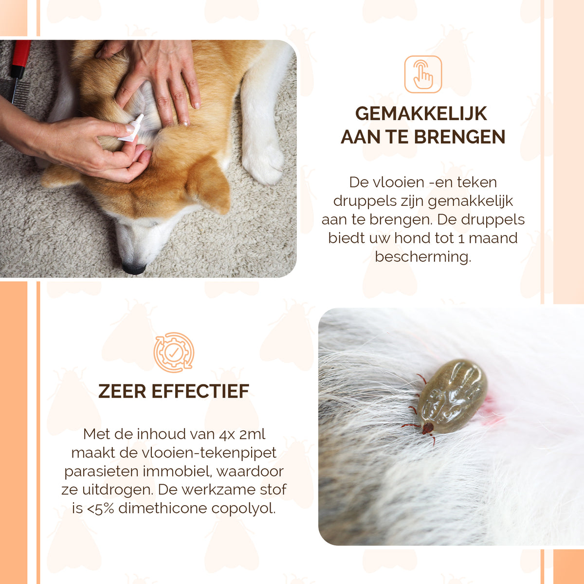 Knock Pest vlooien-tekenpipet Hond ≥ 5 kg