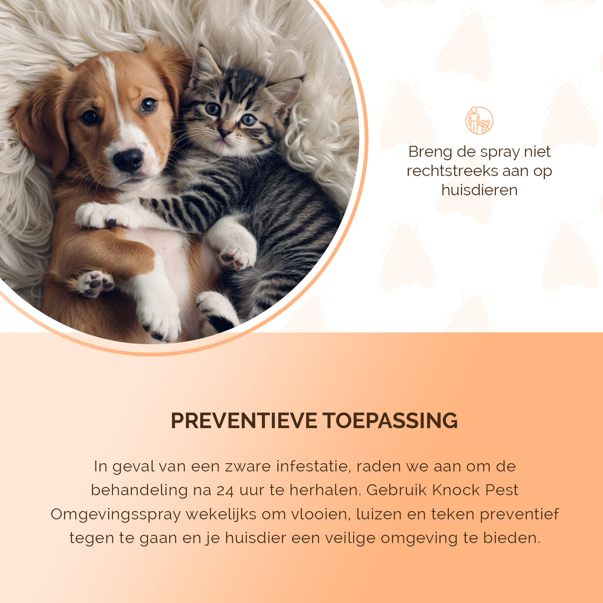 Knock Pest Omgevingsspray 100 ml