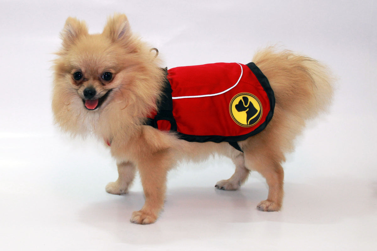 Dog Armor Knockdown Coat (Insect Shield) S (40cm ruglengte)