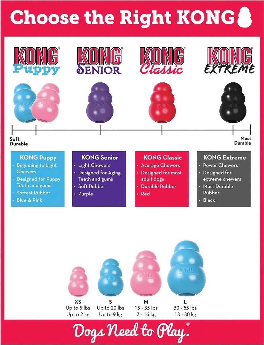 KONG Puppy Assorti L