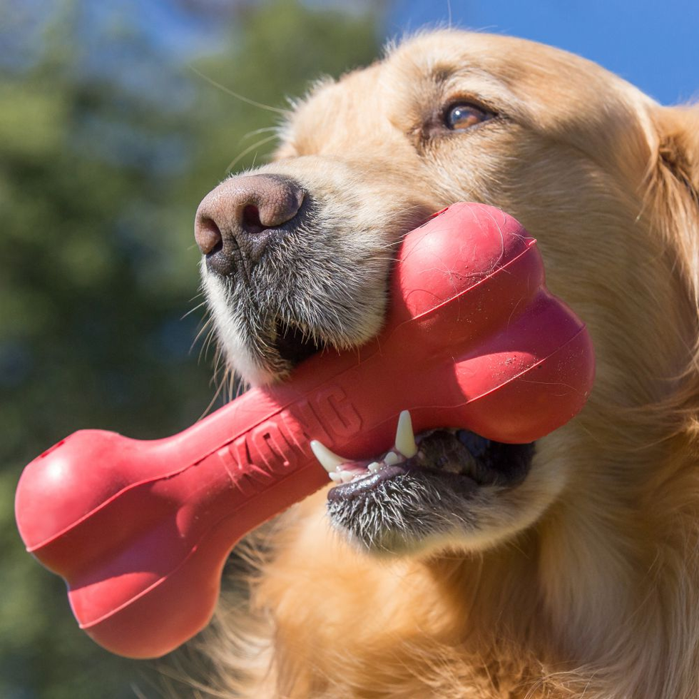 KONG Goodie Bone Rood L