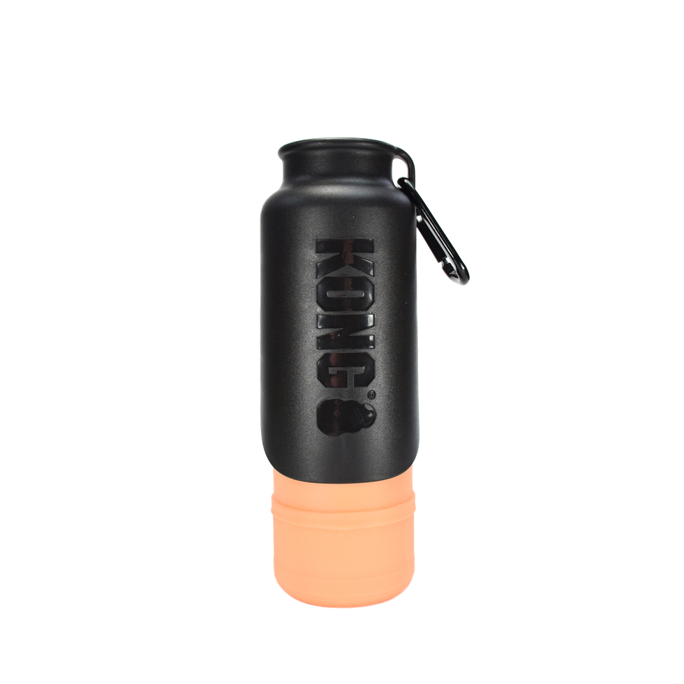KONG H2O Geïsoleerde waterfles Oranje 700 ml