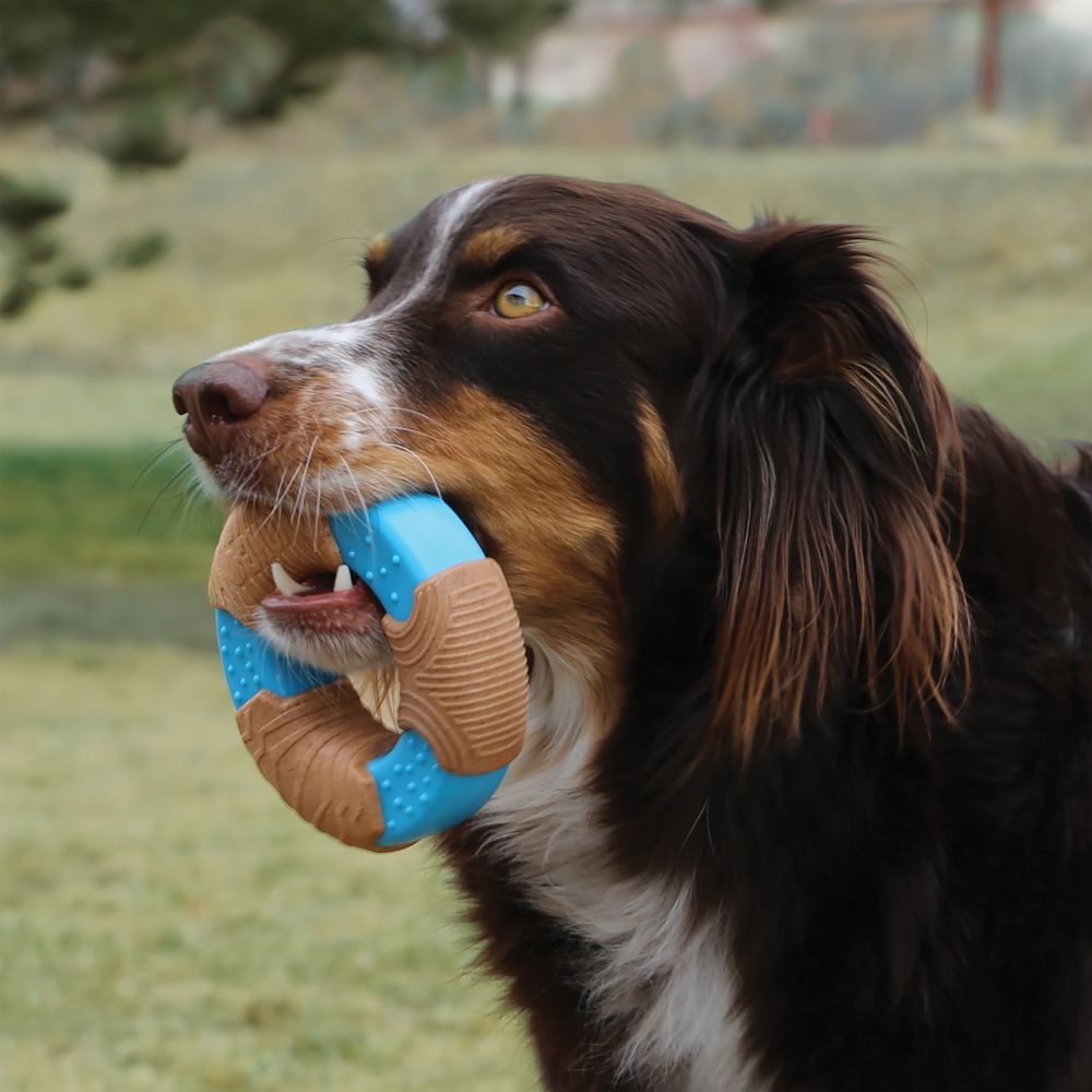 KONG CoreStrength Bamboo Bone