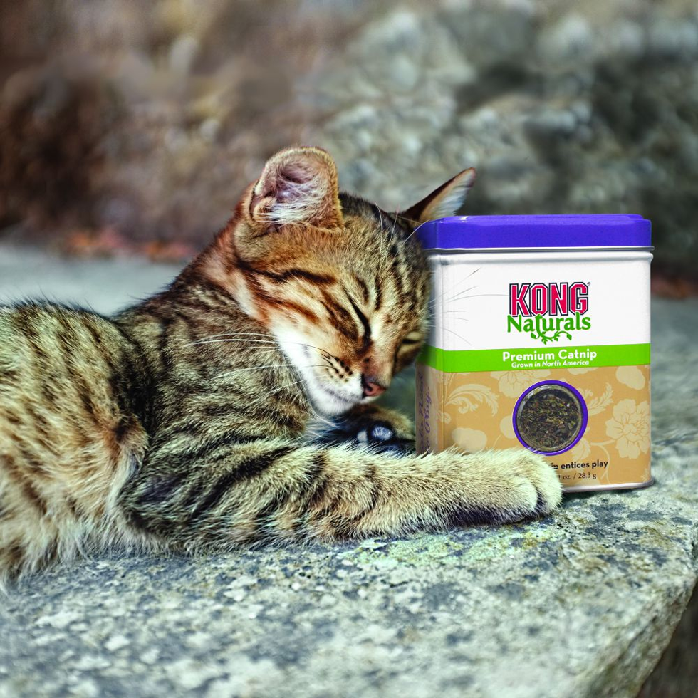 KONG Naturals Catnip 2 oz (56,7 g)