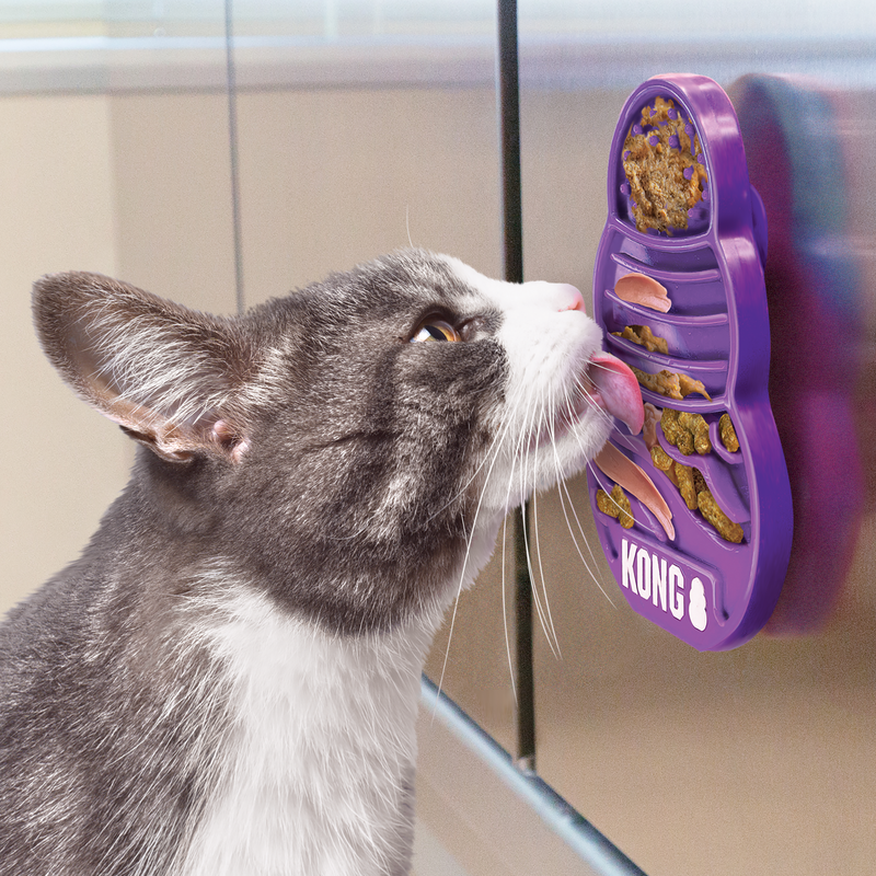 KONG Licks Treat Dispenser Kat Paars S