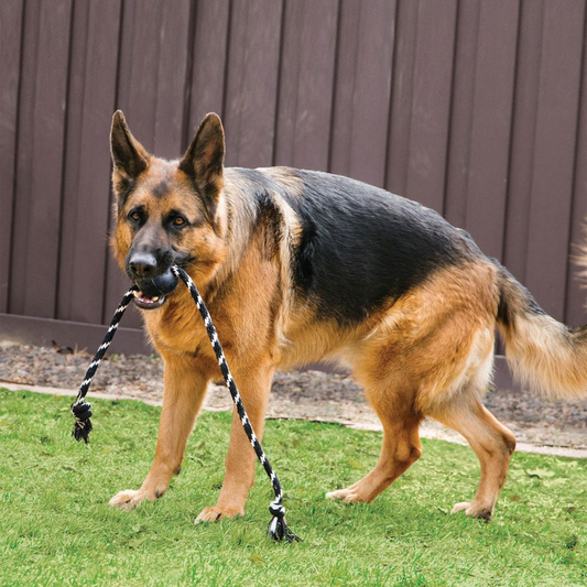 KONG Extreme Ball met touw L