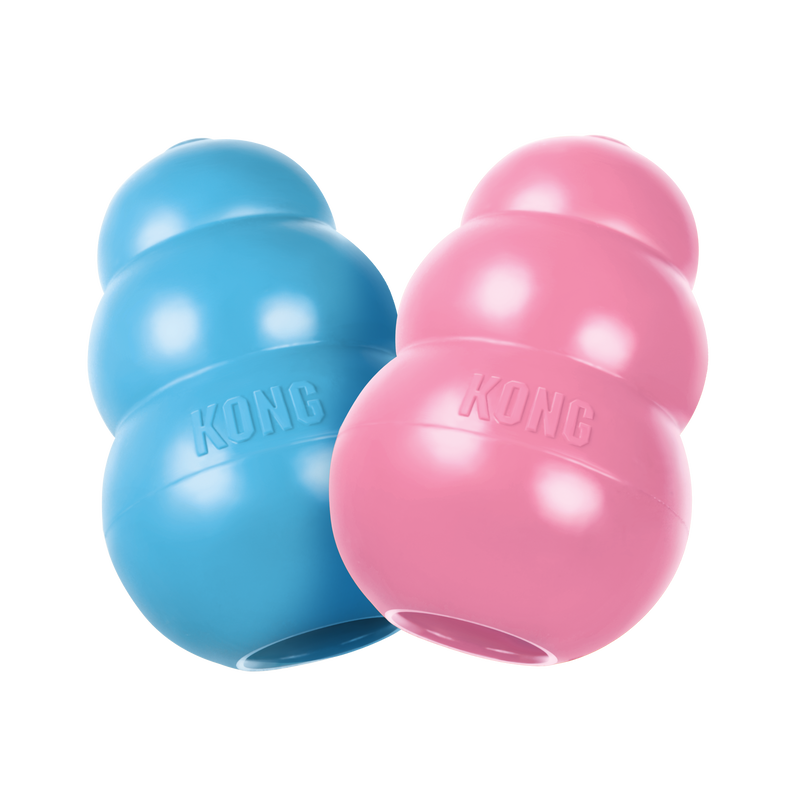 KONG Puppy Assorti S