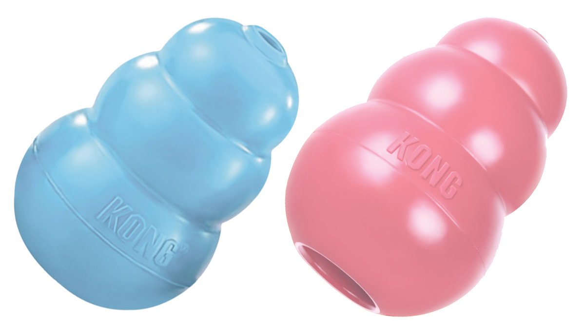 KONG Puppy Assorti S
