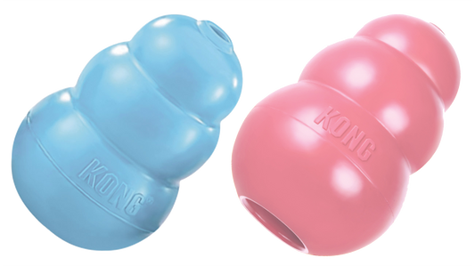 KONG Puppy Assorti S