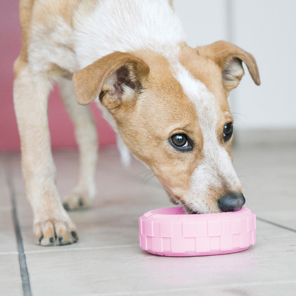 KONG Puppy Tyres Assorti S